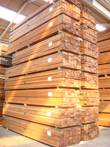 Sapele