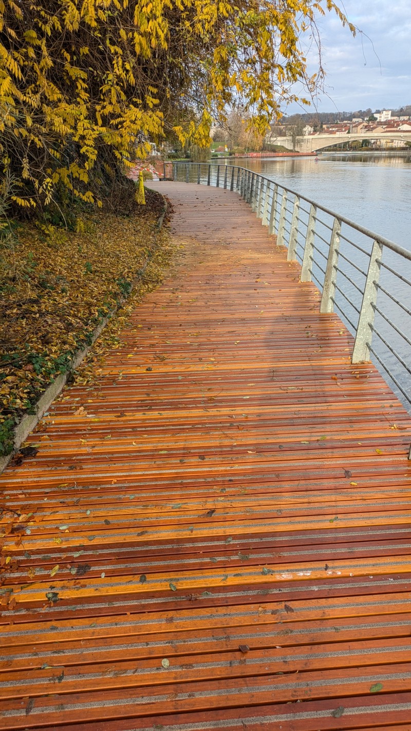 Wooden footbridge in Bilinga, Nancy, France